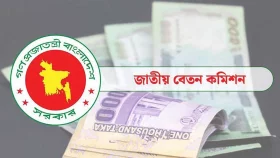 পে-স্কেল আদায়ে নতুন কর্মসূচি ঘোষণা সরকারি চাকরিজীবীদের