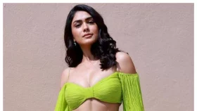 ধানুশকে বিয়ে করছেন না ম্রুনাল!