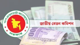 পে স্কেলে চিকিৎসা ভাতা বাড়ছে যে হারে