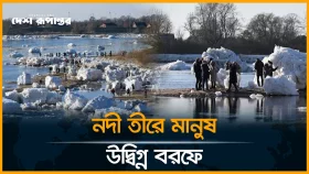জার্মানিতে তীব্র শীতে এলবে নদীর বরফ জমে সংকট