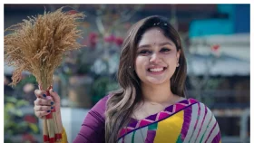 তারকাদের উপস্থিতিতে বিএনপির নির্বাচনী থিম সং প্রকাশ