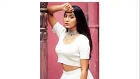 বিয়ের কোনো পরিকল্পনা নেই : সুনেরাহ