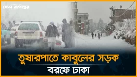 ভারী তুষারপাতে বিপর্যস্ত কাবুল, জনজীবন স্থবির
