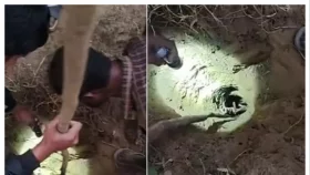 নলকূপের গর্তে পড়ে যাওয়া শিশু মেজবাহ মারা গেছে