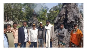 দুর্বৃত্তদের আগুনে দুমকিতে তিনটি খড়ের গাদা পুড়ে ছাই