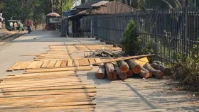 অবৈধভাবে কাটা হলো রেলওয়ে স্টেশনের গাছ