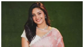 নাজনীন নীহার বিয়ের গুঞ্জন
