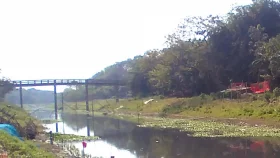 চিনিকলের বর্জ্যে দূষিত নদী