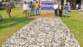 ভান্ডারিয়ায় ১০ মণ জাটকাসহ দুটি ট্রলার জব্দ, আটক ৩