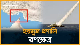 বিশ্বের গুরুত্বপূর্ণ জ্বালানি পথে ভয়াবহ হা*মলা, ঝুঁকিতে জ্বালানি সরবরাহ