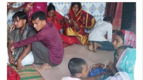দুধ আনতে গিয়ে বিদ্যুৎস্পৃষ্টে প্রাণ গেল মায়ের