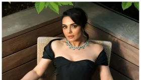 চিরতরে ভারত ছাড়ছেন &nbsp;প্রীতি জিনতা!
