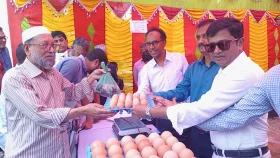 নড়াইলে প্রাণি সম্পদ অধিদপ্তরের সুলভমুল্যে মাংস ও ডিম বিক্রি শুরু