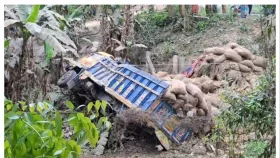 রাজবাড়ীতে আলুবোঝাই ট্রাক উল্টে নিহত চালক