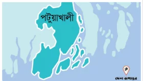 বাউফলে ভয়াবহ অগ্নিকাণ্ডে ২ কোটি টাকার ক্ষয়ক্ষতি