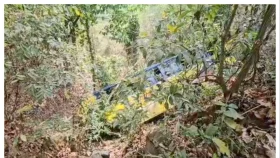 বান্দরবানে পর্যটকবাহী বাস খাদে পড়ে আহত ৩০