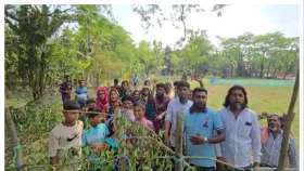 দুমকিতে রাস্তায় বেড়া দিয়ে ১০ পরিবারের চলাচল বন্ধের অভিযোগ