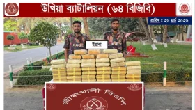 সাড়ে ১২ কোটি টাকার ইয়াবা রেখে পালাল চোরাকারবারিরা