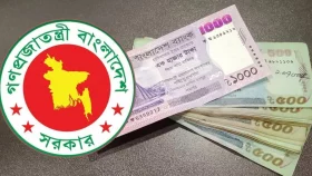 পে স্কেল বাস্তবায়নের দাবিতে নতুন কর্মসূচি ঘোষণা