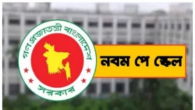নতুন পে স্কেলের দাবিতে ৬ দিনের নতুন কর্মসূচি