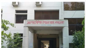জামালপুরে সেচ দিতে গিয়ে বিদ্যুৎস্পৃষ্টে গৃহবধূর মৃত্যু, স্বামী আহত
