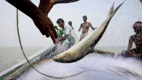 ১৫ এপ্রিল থেকে সাগরে মাছ ধরায় ৫৮ দিনের নিষেধাজ্ঞা