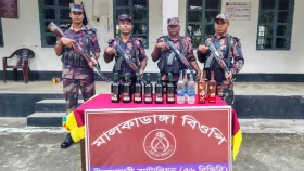 পঞ্চগড়ে ভারতীয় মদ ও গরু জব্দ
