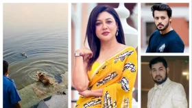 কুমিরের মুখে কুকুর, সেই ঘটনার ভিডিওতে তারকাদের ক্ষোভ