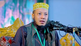 ডিসি বদলি নিয়ে মন্তব্য করে বিপাকে আমির হামজা!