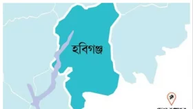 নোয়াপাড়ায় প্রহরীদের জিম্মি করে ৩ ট্রান্সফরমার চুরি