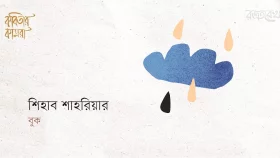 বুক