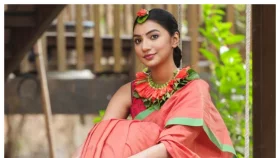 ভক্ত ও সাংবাদিকদের প্রতি সুনেরাহর আহবান