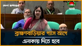 গ্যাস নিয়ে সংসদে যে দাবি জানালেন রুমিন ফারহানা