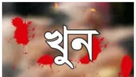 ছোট ভাইয়ের হাতে বড় ভাই খুন