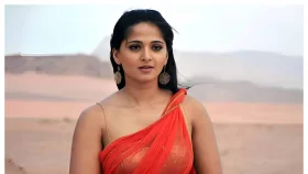 অভিমান ফেলে ফের বিয়ে আনুশকার!