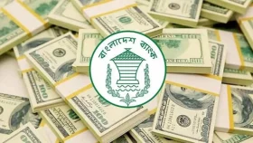 চুক্তিভিত্তিক আইনজীবী নিয়োগ দেবে বাংলাদেশ ব্যাংক