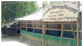 স্কুল কম্পাউন্ডেই গরুর খামার, নেই কোন শিক্ষার পরিবেশ&nbsp;
