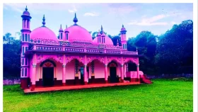 কালের সাক্ষী বিজয়নগরের ২০০ বছরের পুরনো গোলাপি মসজিদ