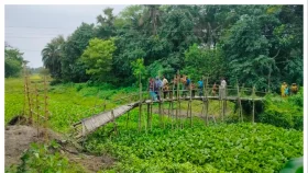 কাশিয়ানীতে খালের ওপর ব্রিজ ভাঙায় দুর্ভোগে ৩২ পরিবার