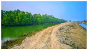 ৩৫ বছরেও হয়নি সুরক্ষা, চকরিয়া-পেকুয়ার বেড়িবাঁধে শঙ্কা
