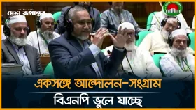 আ. লীগ যে আচরণ করত, এখনও সরকারি দল তাই করছে: ডা. তাহের