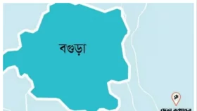 বগুড়ায় ট্রাকের ধাক্কায় ভ্যানচালক নিহত