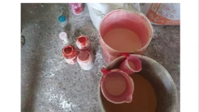 রং মিশিয়ে কোন আইসক্রিম তৈরি, জরিমানা আদায়