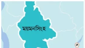 জমি লিখে না দেওয়ায় দাদিকে কুপিয়ে হত্যা