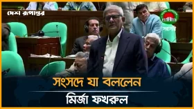 &lsquo;আমাদের চেহারা বদলায়নি, জামায়াত বদলে গেল&rsquo;