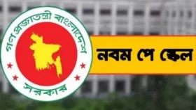 নবম পে-স্কেলে প্রথম ধাপে বাড়বে বেতন, দ্বিতীয় ধাপে কী?