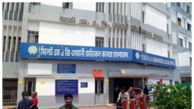সিলেটে ট্রাক-পিকআপ সংঘর্ষ, নিহত ৮