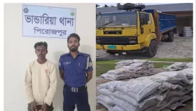 ভাণ্ডারিয়ায় ৩৮০ বস্তা সারসহ ট্রাক জব্দ, চালক আটক
