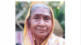 ভাণ্ডারিয়ায় কালবৈশাখী ঝড়ে প্রাণ গেল বৃদ্ধার