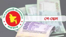 দুই ধাপে পে-স্কেল বাস্তবায়নের দাবি সরকারি কর্মকর্তা-কর্মচারীদের